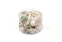 Premium Coral and Seashell Pack - Green Jade